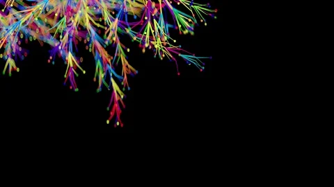 4K Abstract Branching. Stock Footage