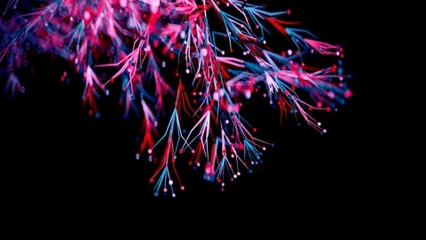 4K Abstract Branching. Stock Footage 105416960