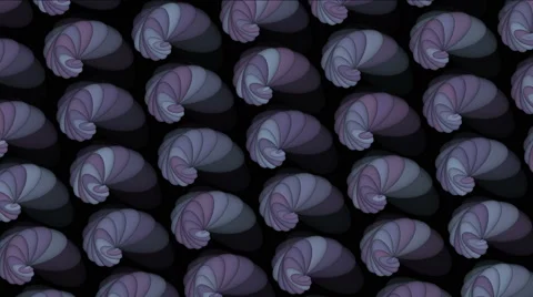 4k Abstract conch shell pattern background,biology fractals geometric backdrop. Stock Footage 49929170