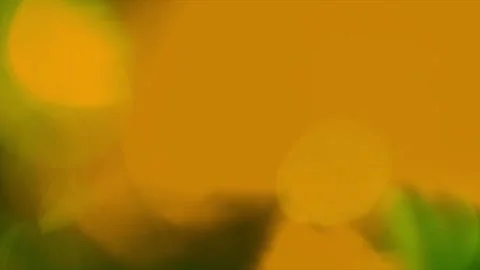 4K Abstract De-Focused Mysterious Light Leak Gradient Background Loop – Green Sc Stock Footage 321967666