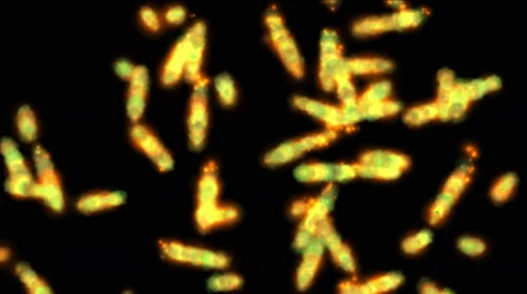 4k Abstract explosion fire fireworks spark particle,plankton worms microbe line Video stock 52915360