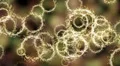 4K Abstract fantasy motion background, shining lights and particles 4k or 4k+ Resolution