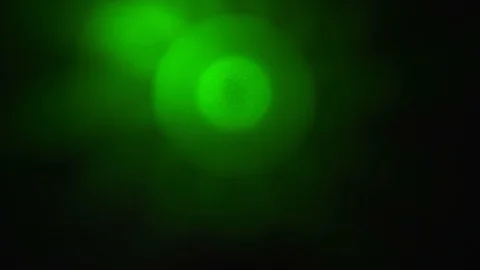 4K abstract light flashes background green Vidéo 99996749