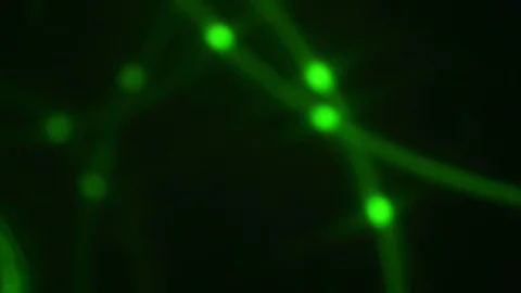 4K Abstract light flashes background green  Video stock 99998794