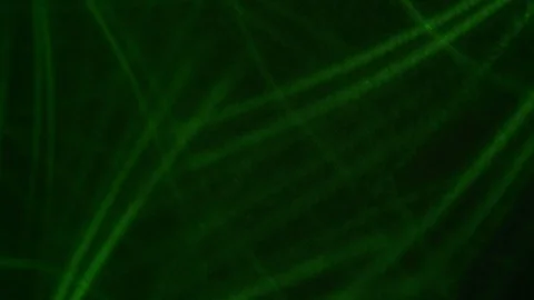4K abstract light rays background green Video stock 99997050