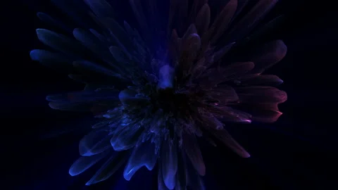 4K Abstract lights backgroud. Animation of glowing neon shapes. Stock Footage 129256583
