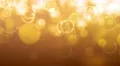 4K Abstract motion background, shining light, stars, particles, rays, loop. 4k or 4k+ Resolution