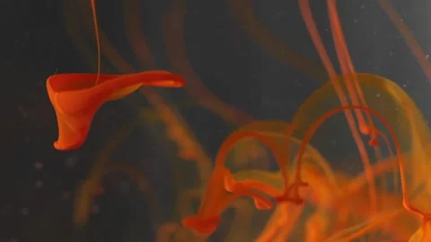 4K Abstract Orange Ink Diffusion and Fluid Dynamics in Clear Water Stock Footage 327407874