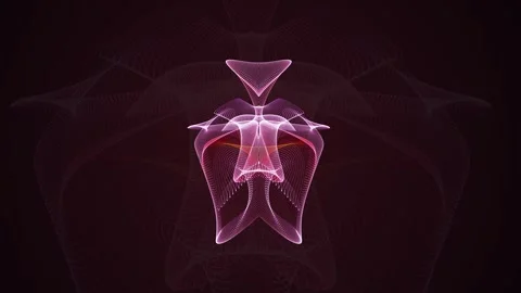 4K, abstract, psychedelic, symmetry, pattern, wide screen, fractal Stock Footage 259373666