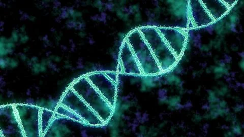 4K abstract representation of DNA molecule. Rotating green nucleic acid helix Stock Photos