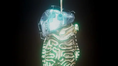 4K abstract view of a bionic liver Stock Footage 255054071