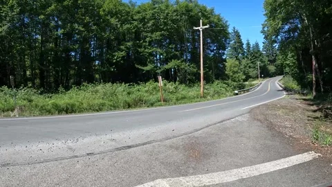 4K action camera driving footage of forested countryside road in Oregon, USA Stock Footage 339543732