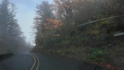 4K action camera footage driving through the Historic Columbia River Highway OR Stock Footage 320471641