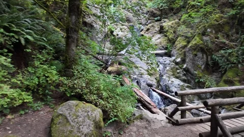 4K action camera hiking footage of well maintained Hamilton Mountain trail WA US Видео 342682824