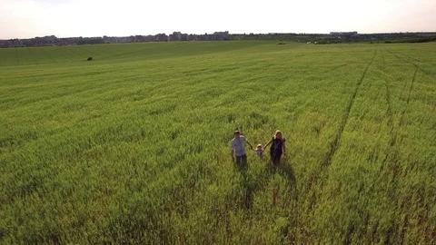 4k Aerial Above Wheat Fields and Family Walking Stock Footage 76882496