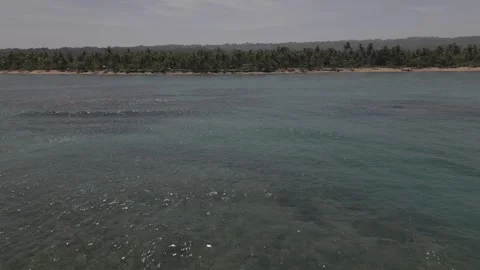 4k Aerial Beach Las Terrenas, Dominican Republic Stock Footage 274005888