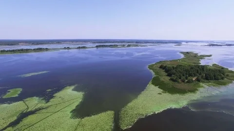  4K Aerial. Big river or  lake with islands and green seaweed. Summer landscape Stock-Footage 83965366