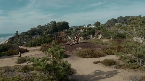 4k Aerial Cliff Park Ocean View Beach Happy Family Kids Stock Footage 124293653