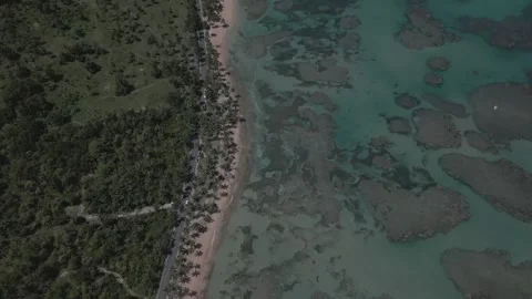 4k Aerial Coast Top Down Las Terrenas, Dominican Republic Stock Footage 274005331