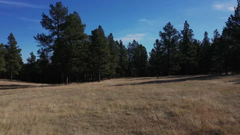 4k aerial Devils Tower Wyoming unique perspective Stock Footage 143561681