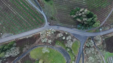 4K aerial drone b roll flying at countrysid road, farmland in Hood River, Oregon Stock Footage 330474938