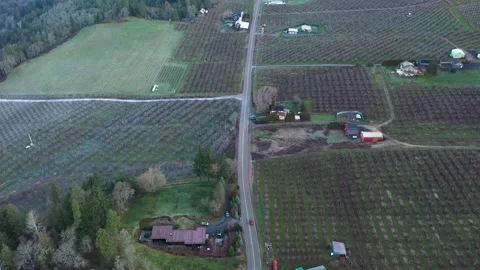 4K aerial drone b roll flying at orchards and farmland near Hood River, Oregon 库存影片 330475075