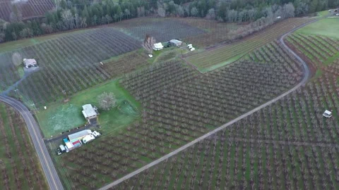 4K aerial drone b roll flying at orchards and farmland near Hood River, Oregon Stock Footage 330475175