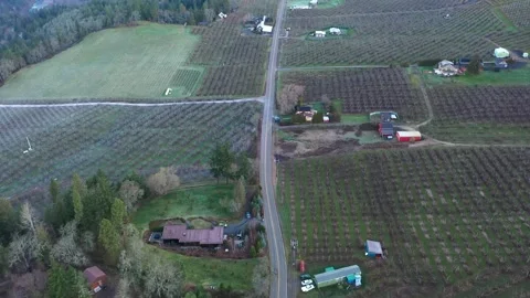 4K aerial drone b roll flying at orchards and farmland near Hood River, Oregon Stock Footage 330475277