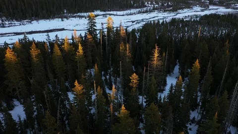 4K aerial drone b roll over snowy evergreen forest at winter sunset  스톡 동영상 330654951