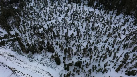 4K aerial drone b roll of snowy evergreen forest in the White River basin Oregon 库存影片 330655152
