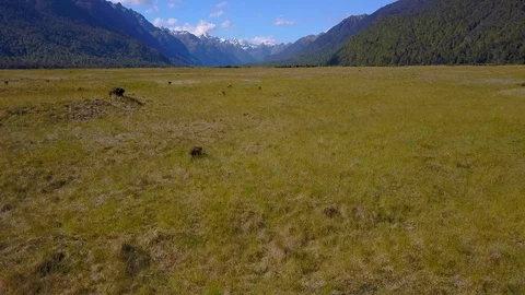4K Aerial drone - Fields and Mountains near Milford Sound Video stock 93829562