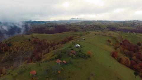 4k aerial drone flight forward revealing deep colorful forest and deep valley. Stock Footage 78022628