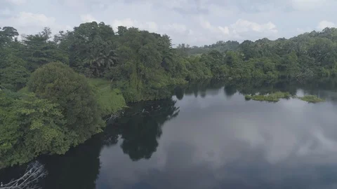 4K Aerial Drone Going over Forests and Lakes in Singapore. Stock Footage 96732675