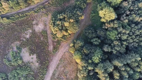4K Aerial Drone Look Down to Heathland Forest Road and Farmland Stock Footage