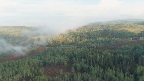 4K Aerial Drone Low Clouds Over Power Lines Through A Forest Video stock 160998113