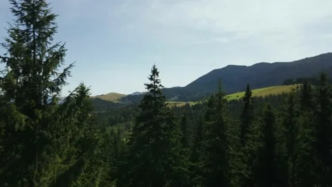 4K Aerial drone moving forward woods forest mountains in Ukraine, Carpathians Stock Footage 140274337