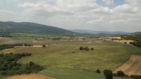 4K Aerial Drone Pullback and Ascending Shot Over Sunflower Field Stock Footage 322711744