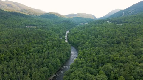 4K Aerial Drone Reverse Pull Back over Nature Scene with Forest and Creek Stock Footage 240297539