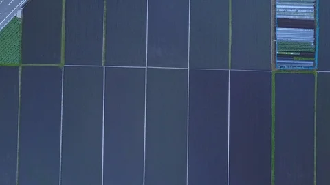 4K Aerial drone rice fields in Shikoku, Japan Stock Footage 91356683
