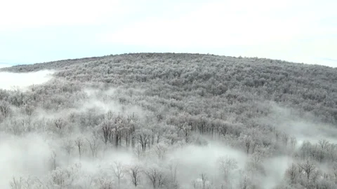 4K Aerial Drone Shot Over Ice-Covered Woods Stock Footage 302018531