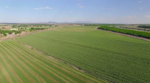 4K Aerial Drone Shot of Vibrant Farmland Stock Footage 63355880