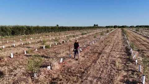 4K Aerial drone static view of worker cutting weeds with brushcutter in Spain Stock Footage 336013473