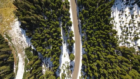 4K Aerial Drone Top Down view of road in snowy pine forest Stock Footage 241140811