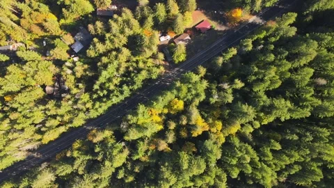 4K Aerial Drone Top Down view of road in pine forest. Diagonal movement. Stock Footage 241140833
