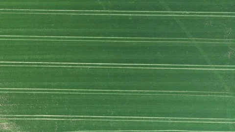 4K aerial drone top down view of cultivated farmland field pattern in Oregon USA Stock Footage 332713156