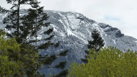 4k Aerial Drone Tracking Through Trees Reveals Snow-Capped Forested Mountain Stock Footage 275067729