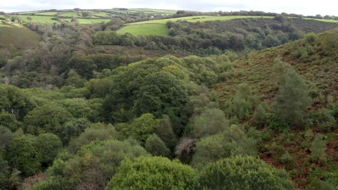 4K Aerial Drone with Trees Fields and Moorland on Exmoor National Park UK Stock Footage 163031192
