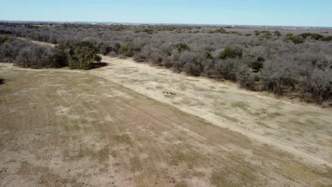 4K Aerial Drone Video - Drone shot over a meadow with deer in Texas, winter Stock-Footage 239469723