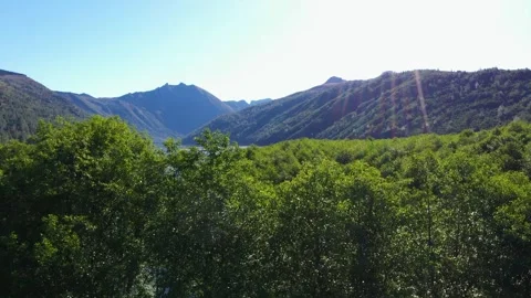 4K aerial drone view of Coldwater Lake near Mount Saint Helens, Washington, USA Stock Footage 337819784