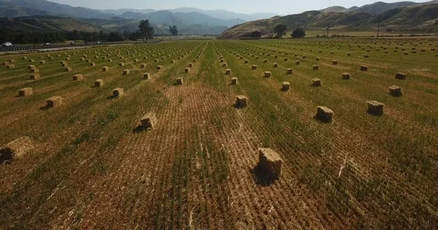 4k Aerial Drone View of crop fields and clouds, rocky mountains in USA Stock Footage 107662901